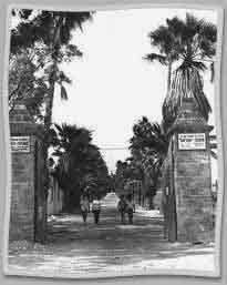 Mikve Israel Alt text